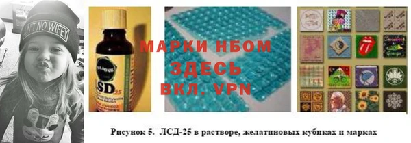 ПСИЛОЦИБИНОВЫЕ ГРИБЫ Вязники
