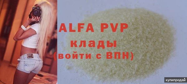 ПСИЛОЦИБИНОВЫЕ ГРИБЫ Вязники