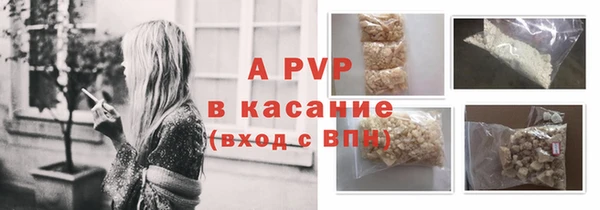 ПСИЛОЦИБИНОВЫЕ ГРИБЫ Вязники