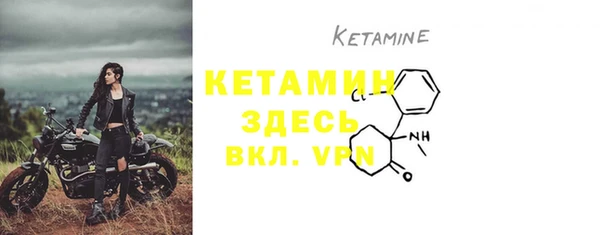 ПСИЛОЦИБИНОВЫЕ ГРИБЫ Вязники