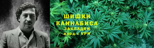 ПСИЛОЦИБИНОВЫЕ ГРИБЫ Вязники