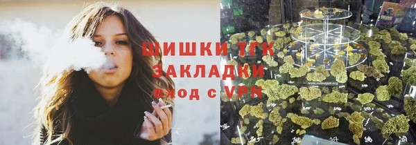ПСИЛОЦИБИНОВЫЕ ГРИБЫ Вязники