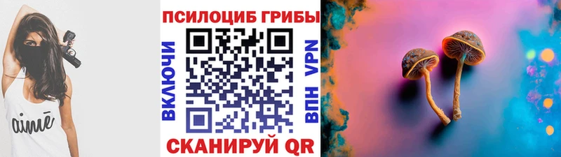 купить  сайты  Челябинск  hydra онион  Псилоцибиновые грибы прущие грибы 